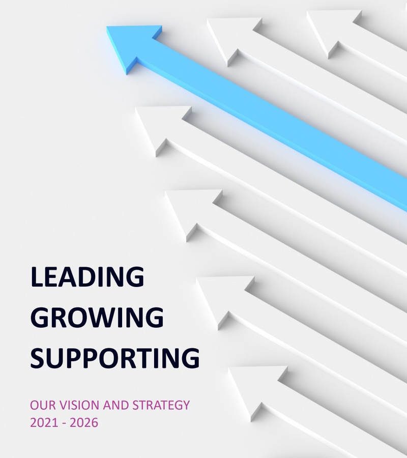 VTCT strategy - graphic
